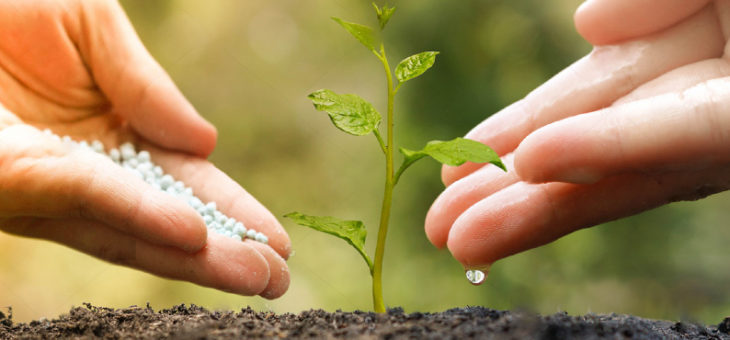 Comment améliorer la fertilité – naturellement